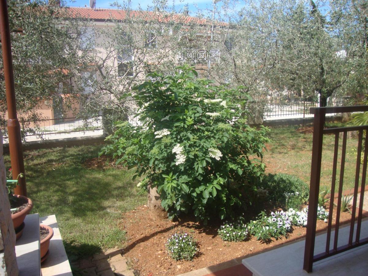 Comfortable Apartments In Peroj Near The Sea Bagian luar foto
