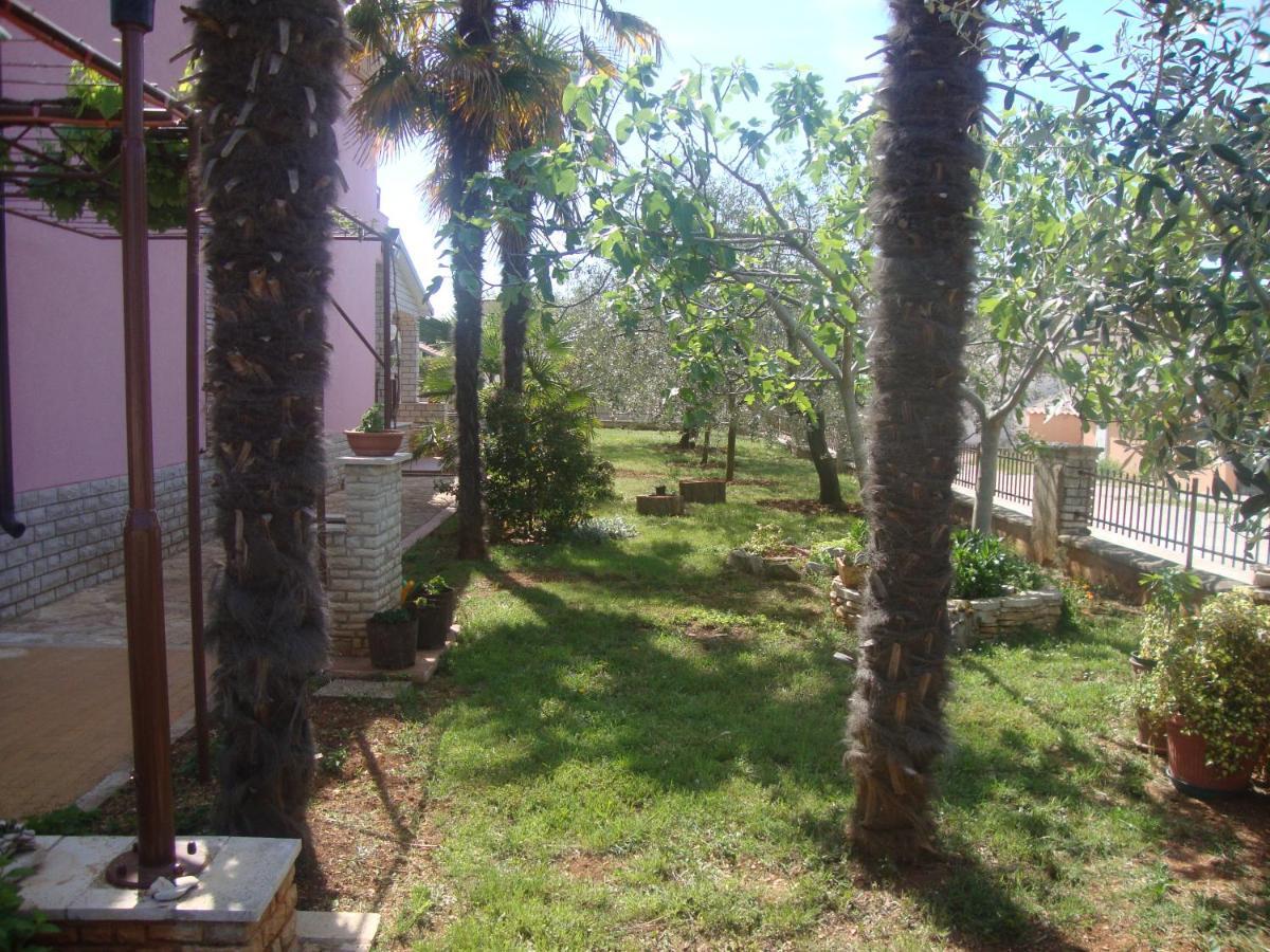 Comfortable Apartments In Peroj Near The Sea Bagian luar foto